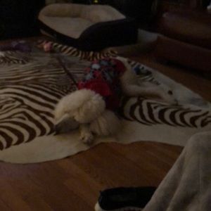 Meet your Posher, Joie